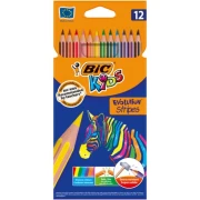 BIC Kredki Evolution Stripes 12 kol