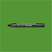 Winsor & Newton Promarker Forest Green